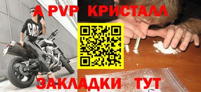 амф Новозыбков