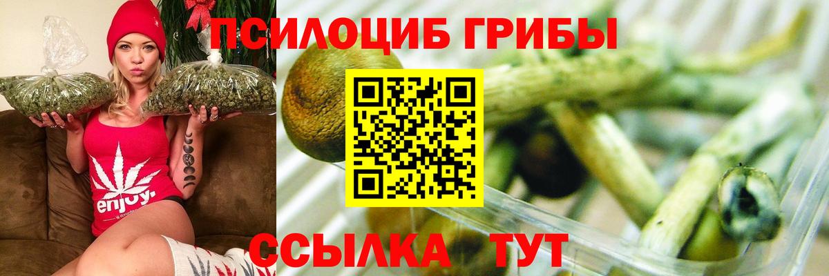 Рузаевка  закладка  Вход с VPN  Псилоцибиновые грибы прущие грибы 